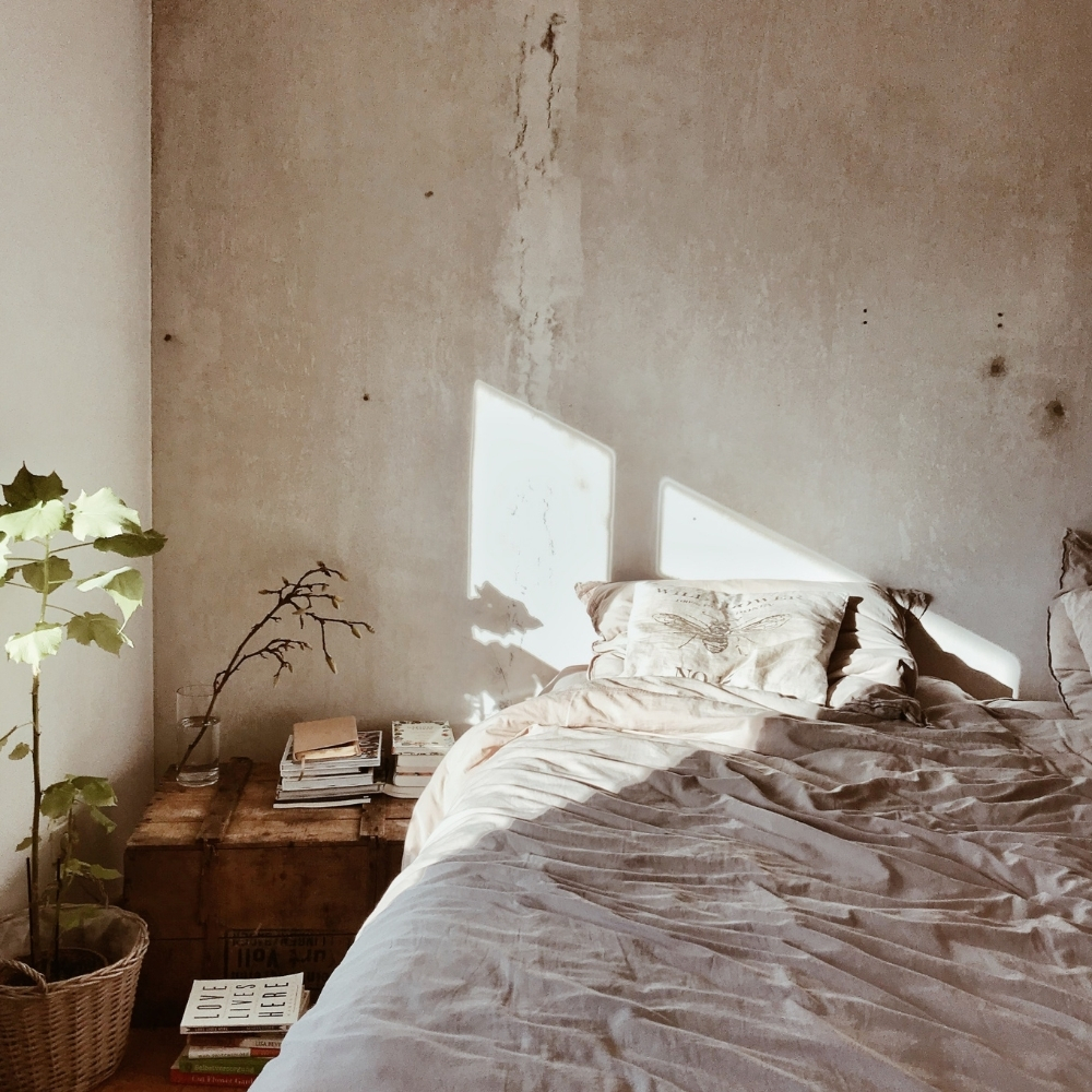 Dictum fusce ut placerat orci 